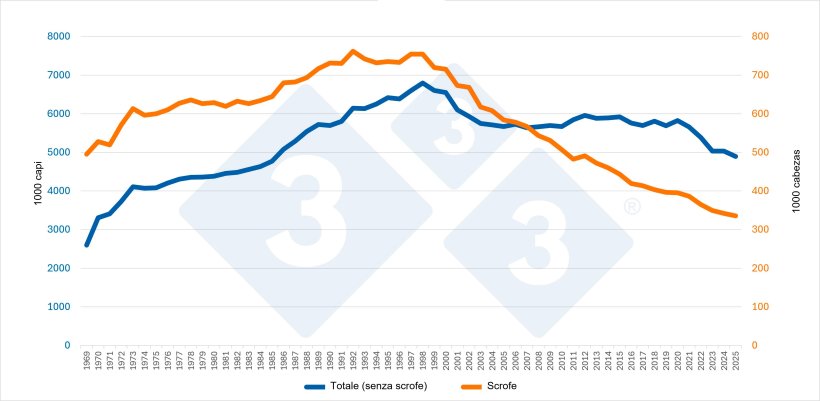 Evoluzione del censimento totale (escluse le scrofe) e del numero di scrofe in Belgio. Fonte: 333 basata su dati Eurostat.